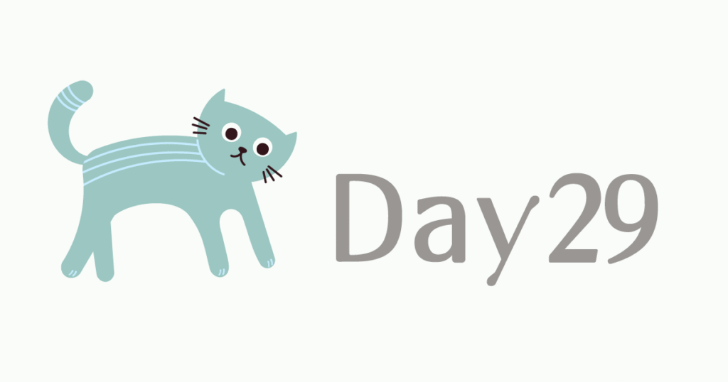 100日チャレンジDay29