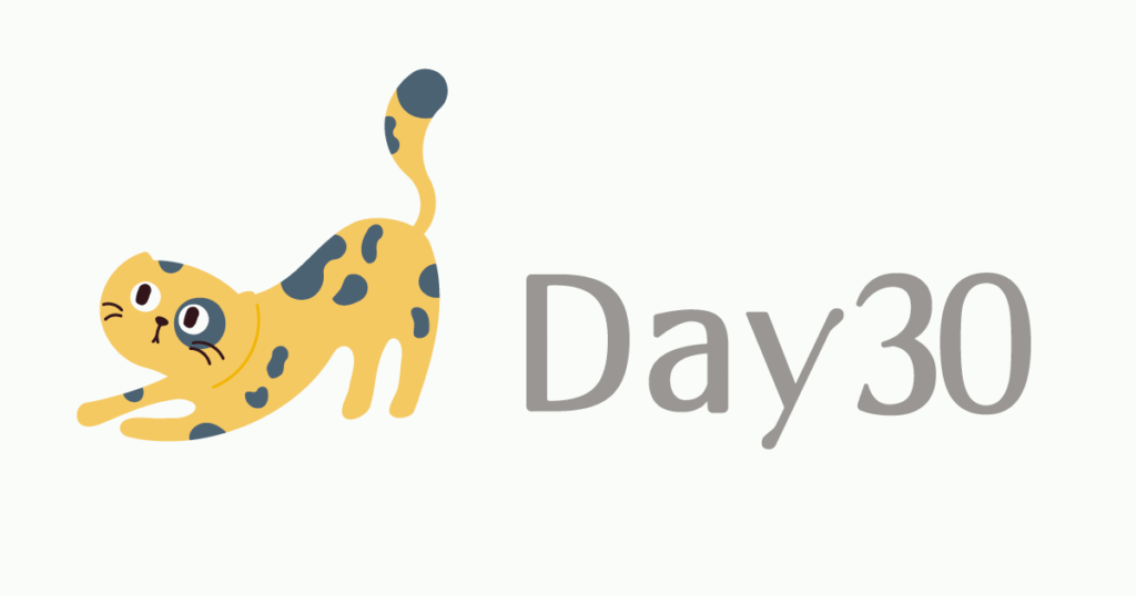 100日チャレンジDay30